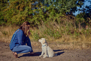 Happy brunette middle-aged woman training with her little Labrador retriever puppy in the gold sunlight, with copy space above