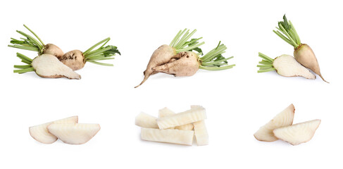 Set with whole and cut sugar beets on white background. Banner design