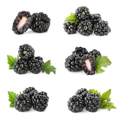 Set with delicious ripe blackberries on white background