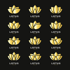 minimalist gold lotus flower set for beauty and spa logo