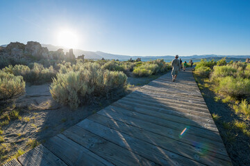 path near mono lake