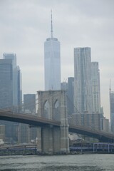 Fototapeta na wymiar Puente de brooklyn en Nueva York