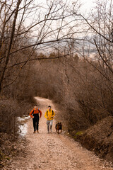Obraz premium Running with the dog together on the path in the forest. Healthy lifestyle