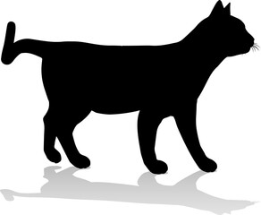 Silhouette Cat Pet Animal