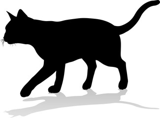 Silhouette Cat Pet Animal