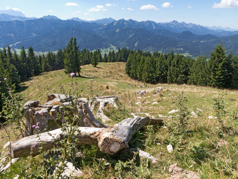 Blick vom Hörnle auf die Ammergauer Berge 