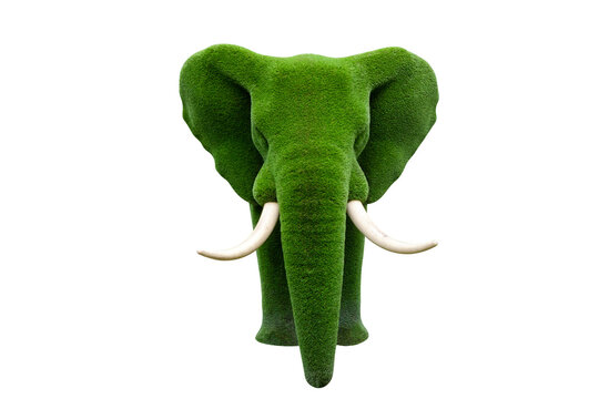 elephant made of grass isolated on white background