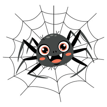 Cartoon Drawing Of A Spider