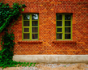 Fototapeta na wymiar old brick house wall, green door and frames windows, vintage style
