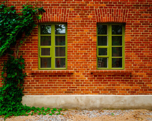 old brick house wall, green door and frames windows, vintage style