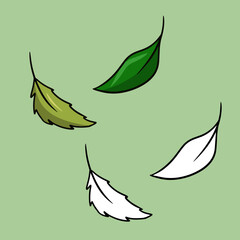 Obraz premium A set of pictures, green tea leaves for brewing tea, cocktail ingredients, vector cartoon
