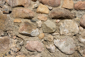 Stone wall texture