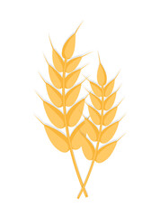 Two ears of wheat illustration with shadow