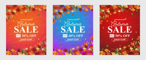 Poster Autumn Sale Background, set of abstract backgrounds with leave frame, autumn sale, banner, posters, cover design templates, social media wallpaper stories © Bakemon