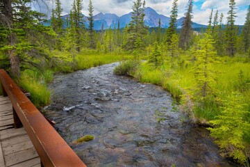 Jasper National Park Canada