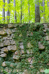 Fragmęt muru, Rezerwat przyrody Jeziorko Daisy – utworzony w 1998 r. geologiczno-leśny rezerwat przyrody nieożywionej, wchodzący w skład Książańskiego Parku Krajobrazowego