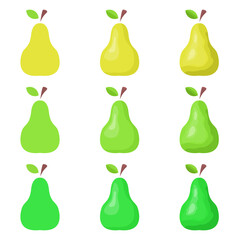 A vector drawn pear illustration with various colors and amount of details