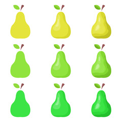 A vector drawn pear illustration with various colors and amount of details