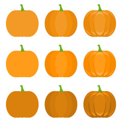 A vector drawn pumpkin illustration with various colors and amount of details