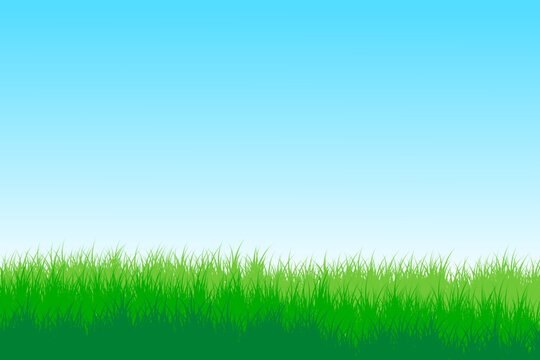 grass landscape. grassland