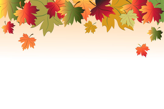 Autumn background - colorful maple leaves. Vector image.