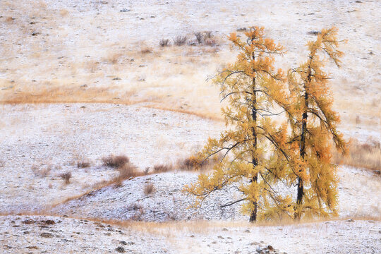 wallpaper autumn landscape mountain altai, freedom romantic trip