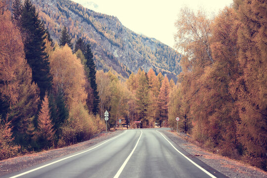 autumn highway view, freedom travel landscape