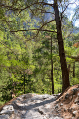 Wanderweg durch die Samaria-Schlucht in Kreta/Griechenland