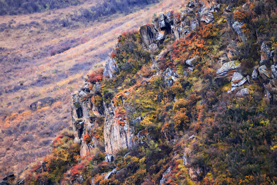 wallpaper autumn landscape mountain altai, freedom romantic trip