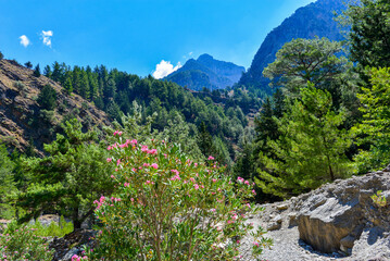 Wanderweg durch die Samaria-Schlucht in Kreta/Griechenland