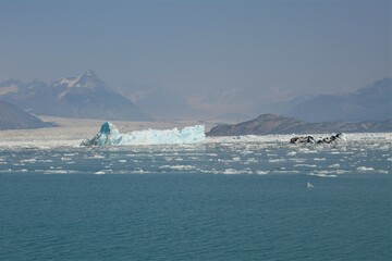 dichter Smog als Folge eines Waldbrandes über der Columbia Bay -Auch in  Alaska gibt es durch den...