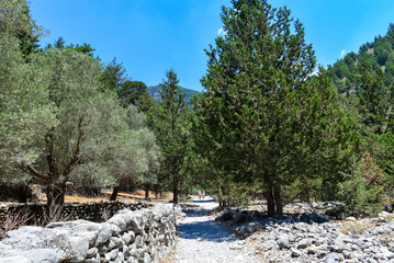 Samaria-Schlucht in Kreta/Griechenland