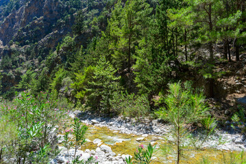 Samaria-Schlucht in Kreta/Griechenland