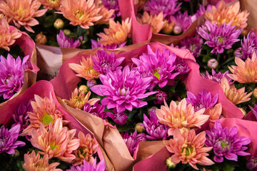 Flower bouquets in floral shop. Beautiful bunch of colourful flowers close-up