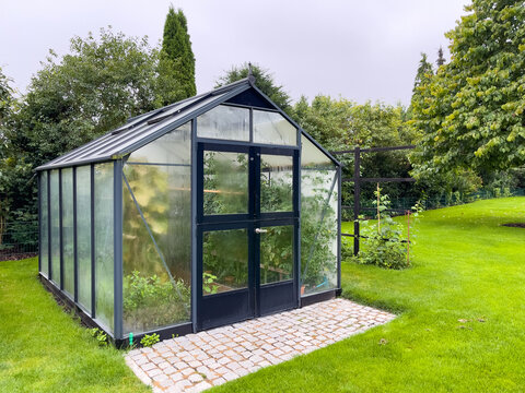 in a  large greenhouse thrive many vegetables