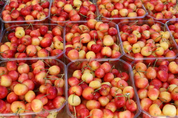 Vegetables and fruits are sold at a bazaar in Israel.