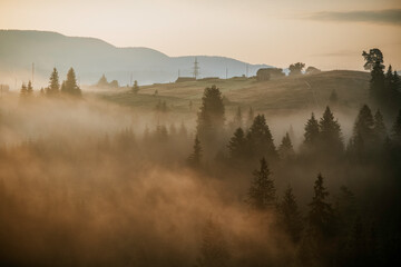 Foggy summer sunrise in the Carpathian mountains, Vorokhta village. Beautiful morning landscape with hills, cloudy sky and mist between fir trees