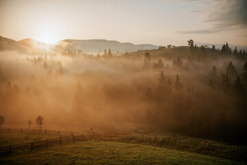Foggy summer sunrise in the Carpathian mountains, Vorokhta village. Beautiful morning landscape with sun, cloudy sky and mist between fir trees