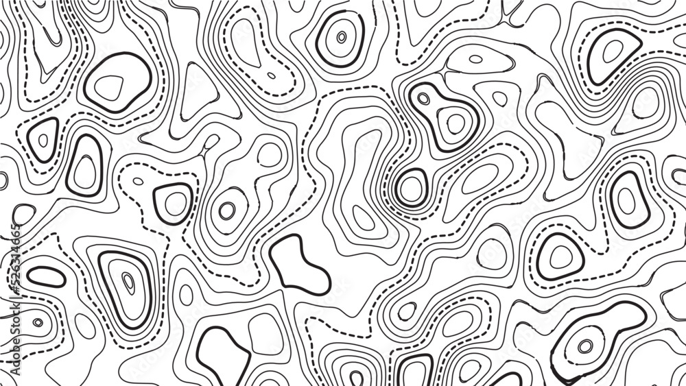 Poster topographic map background. grid map. pattern of contour lines. abstract vector illustration.