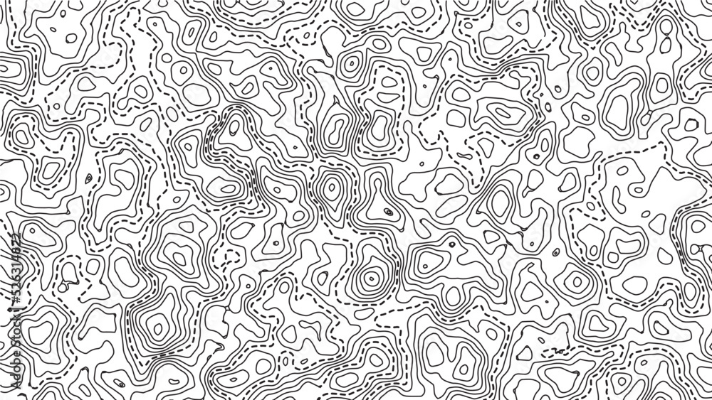 Poster topographic map background. grid map. pattern of contour lines. abstract vector illustration.