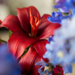 Finished flower arrangement in a vase for home. \Fresh cut flowers for decoration home. European floral shop. Delivery fresh cut flower.