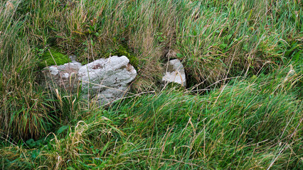 Dun Feorlig broch, Isle of Skye