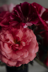 cute bouquet compliment closeup in pink colors, roses and pink flowers