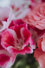 cute bouquet compliment closeup in pink colors, roses and pink flowers
