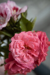 cute bouquet compliment closeup in pink colors, roses and pink flowers