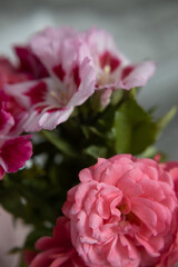 cute bouquet compliment closeup in pink colors, roses and pink flowers