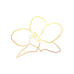 golden linear art. Golden orchid. Graphic illustration 