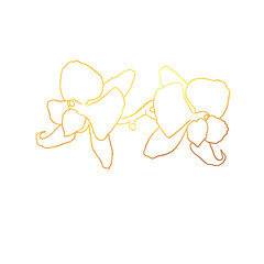 golden linear art. Golden orchid. Graphic illustration 