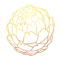 golden linear art. Golden artichoke. Graphic illustration