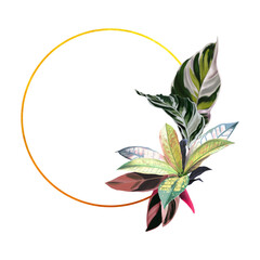 Tropical frame. Realistic watercolor illustration with bright leaves